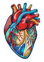 art of Human heart drawing Abstract minimal flat art vector