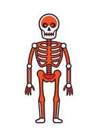art of Human skeleton drawing Abstract minimal flat art vector