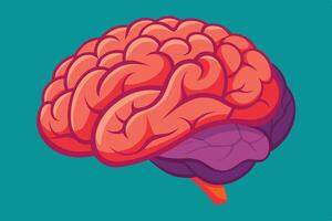 art of Human brain drawing Abstract minimal flat art vector