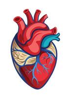art of Human heart drawing Abstract minimal flat art vector