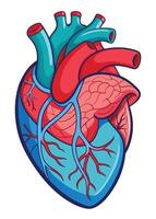 art of Human heart drawing Abstract minimal flat art vector