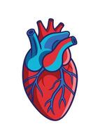 art of Human heart drawing Abstract minimal flat art vector