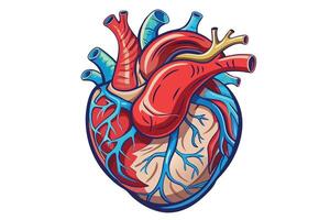 art of Human heart drawing Abstract minimal flat art vector