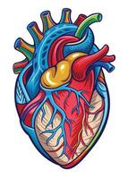 art of Human heart drawing Abstract minimal flat art vector
