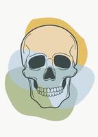 Skull sketch drawing abstract minimal continuous line wall decor vector