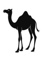 Black camel silhouette on white background vector