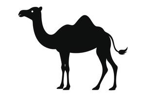 Black camel silhouette on white background vector