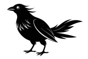 Black bird silhouette on white background vector