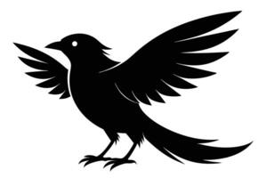 Black bird silhouette on white background vector