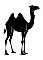 Black camel silhouette on white background vector