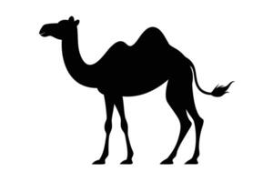 Black camel silhouette on white background vector
