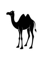 Black camel silhouette on white background vector