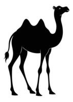 Black camel silhouette on white background vector