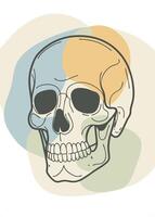 Skull sketch drawing abstract minimal continuous line wall decor vector