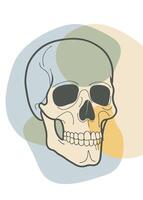 Skull sketch drawing abstract minimal continuous line wall decor vector