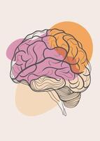Human brain drawing Abstract minimal continuous line wall decor vector