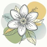 Flower drawing Abstract minimal floral continuous line art vector