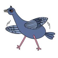 Illustration of a pigeon running fast in cartoon style on a white background. vector