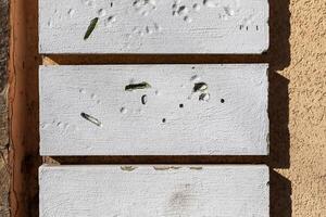 Building wall background and texture. photo