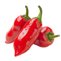 Red Pepper, fruit realistic Illustration. Realistic Transparent file. Mockup template for artwork graphic design png