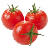 Tomato, fruit realistic Illustration. Realistic Transparent file. Mockup template for artwork graphic design png