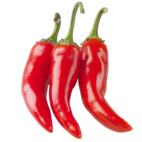 Red Pepper, fruit realistic Illustration. Realistic Transparent file. Mockup template for artwork graphic design png