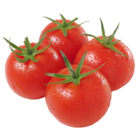 Tomato, fruit realistic Illustration. Realistic Transparent file. Mockup template for artwork graphic design png