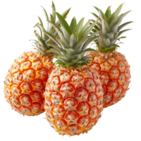 Pineapple, fruit realistic Illustration. Realistic Transparent file. Mockup template for artwork graphic design png