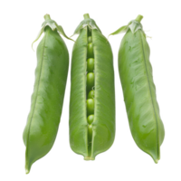 Pea Pods, fruit realistic Illustration. Realistic Transparent file. Mockup template for artwork graphic design png