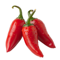 Red Pepper, fruit realistic Illustration. Realistic Transparent file. Mockup template for artwork graphic design png