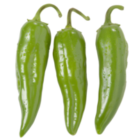 Green Pepper, fruit realistic Illustration. Realistic Transparent file. Mockup template for artwork graphic design png