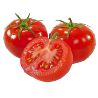 Tomato, fruit realistic Illustration. Realistic Transparent file. Mockup template for artwork graphic design png