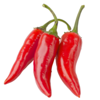 Red Pepper, fruit realistic Illustration. Realistic Transparent file. Mockup template for artwork graphic design png