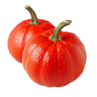 Pumpkin, fruit realistic Illustration. Realistic Transparent file. Mockup template for artwork graphic design png