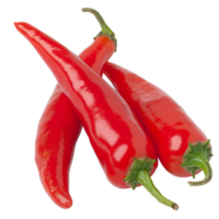 Red Pepper, fruit realistic Illustration. Realistic Transparent file. Mockup template for artwork graphic design png