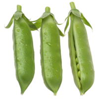 Pea Pods, fruit realistic Illustration. Realistic Transparent file. Mockup template for artwork graphic design png