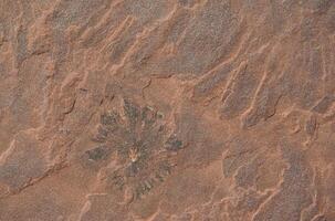 Red stone surface with pattern photo
