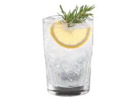 Gin Sprudel Raserei ein zart Gin Sprudel Glas überfüllt mit sprudelnd Limonade Wasser garniert mit png