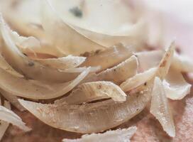 Clipped fingernails and toenails piled up in clumps. photo