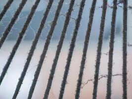 Dust and rust on fan blades and grilles photo