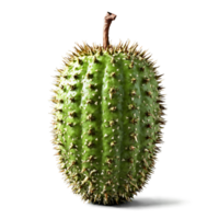 Soursop with spiky green skin and white fibrous flesh scooped out Food and culinary concept png