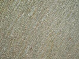 Fresh bark has a natural pattern. photo