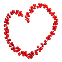 Barberries bright red small and elongated evenly distributed in a heart shape Food and culinary png