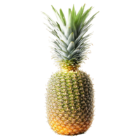 Pineapple with sliced rings and leaves exploding upwards Food and culinary concept png