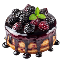blackberry cake isolated on a transparent background png