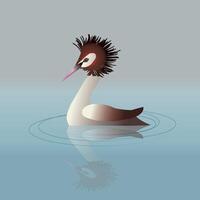 A digital illustration of a great crested grebe swimming in the water. vector