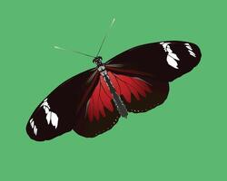 A digital illustration of a Doris longwing butterfly. The insect is depicted on a green background and is slightly slanted. vector