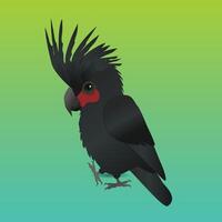 A digital illustration of a cute palm cockatoo. He is holding one paw up. He looks very cute. Bright green gradient background. vector