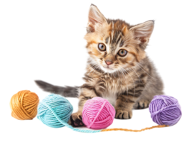 Cute kitten playing with yarn balls, isolated against a transparent background png