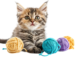 Cute kitten playing with yarn balls, isolated against a transparent background png